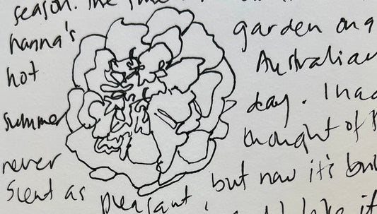 Garden Journal - Fall #2