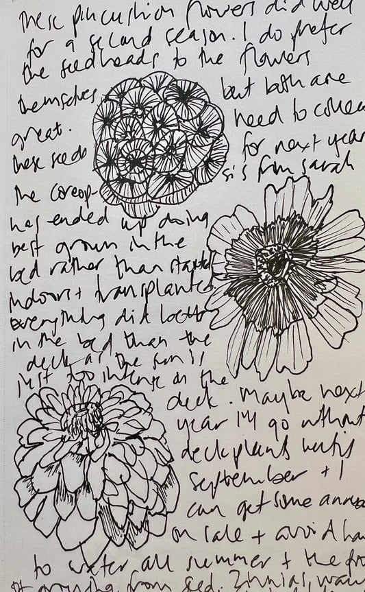 Garden Journal - Fall #1